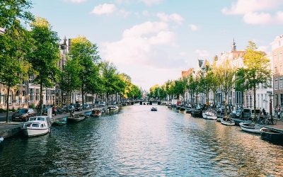 The advantages of setting up a holding company in the Netherlands